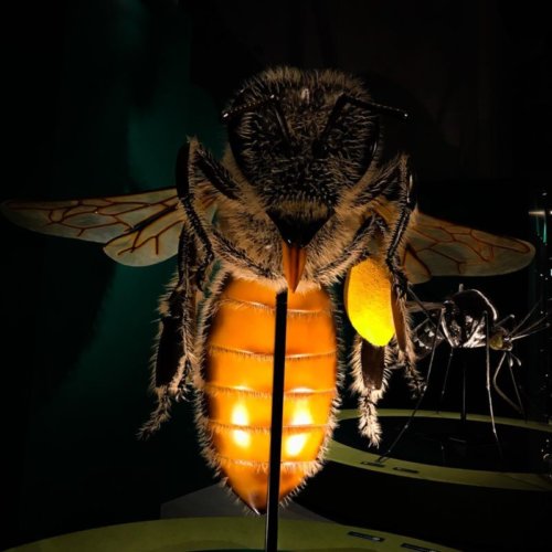 昆虫展のハチの巨大オブジェ