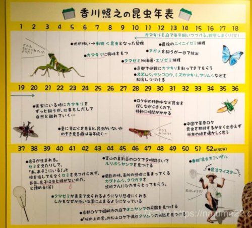 香川照之の昆虫年表