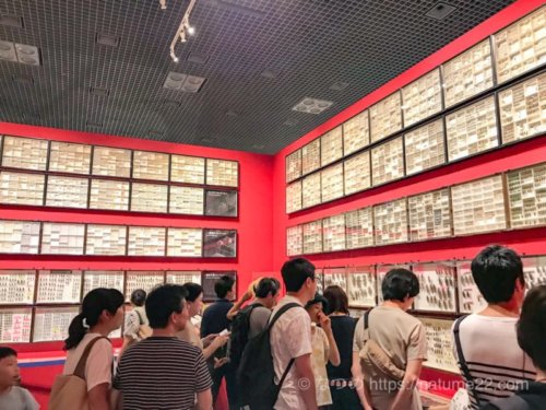 昆虫展の膨大な量の標本展示