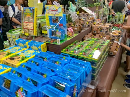 昆虫展の物販コーナー